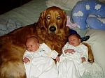 Cyrus with babies
