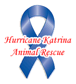 Hurricane Katrina Animal Rescue